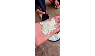 NON BASMATI WHITE RICE