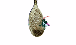 Dry Flower Arrangement