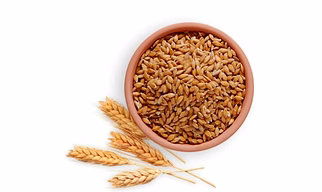 Wheat Grains