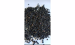 Indian Black Pepper