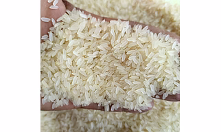 IR64 Parboiled Rice
