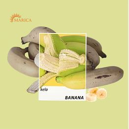 fresh g9 cavendish banana