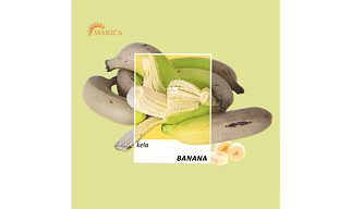 Fresh G9 Cavendish Banana