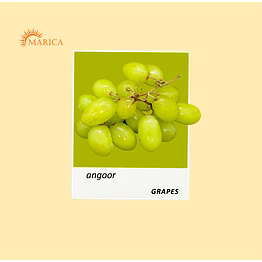 thompson seedless, super sonaka & sharad black grapes