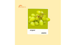 Thompson Seedless, super sonaka & Sharad Black Grapes