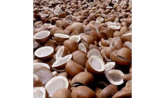 Dry coconut