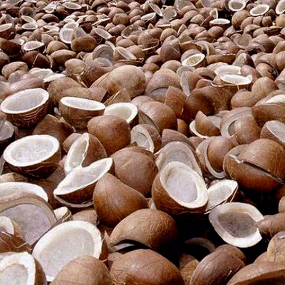dry coconut