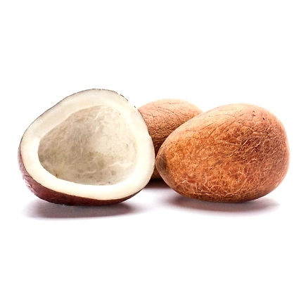 Dry coconut-1