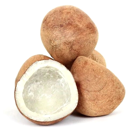 Dry coconut-3
