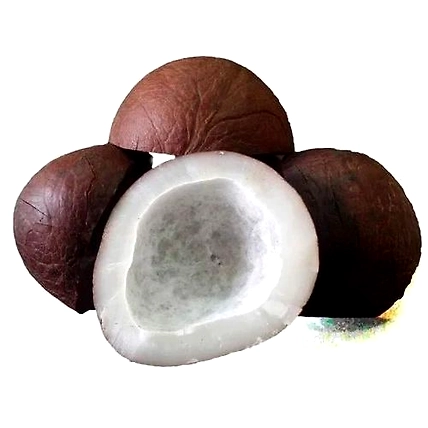 Dry coconut-4