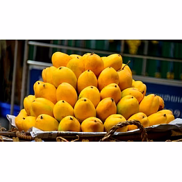 alphonso mango