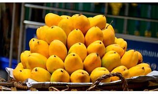 Alphonso mango