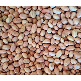 raw peanut