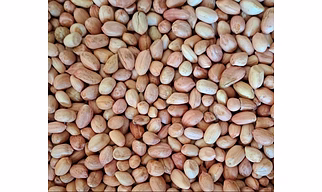 Raw peanut
