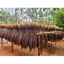 broom grass