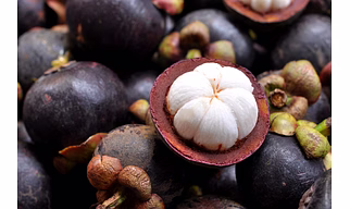 Mangosteen