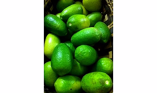 Assamese Lemon (Kazi Nemu)