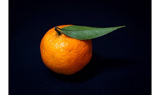 Khasi Mandarin