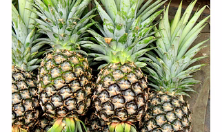Pineapple