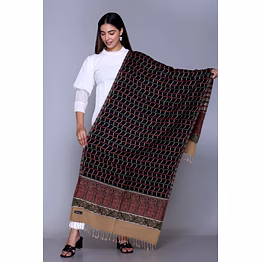 traditional silk blend stole with geometric pattern, black base with red and green design, paisley border, tasseled edges