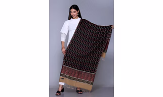 Traditional Silk Blend Stole with Geometric Pattern, Black Base with Red and Green Design, Paisley Border, Tasseled Edges