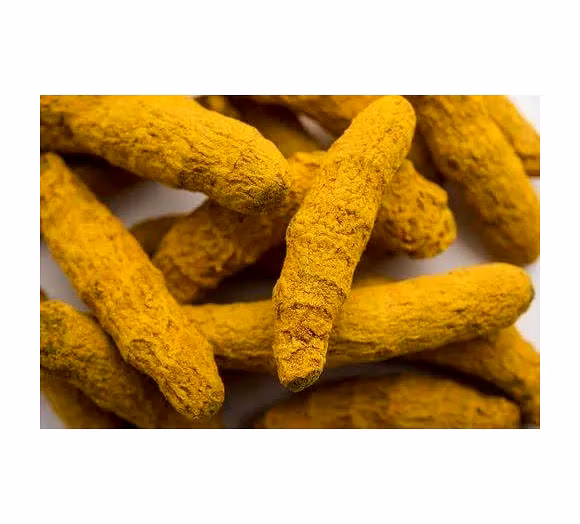 Experience the Purest Form of Turmeric – Direct from Indian Farms