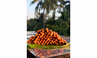 Golden Goodness - Sun dried Banana