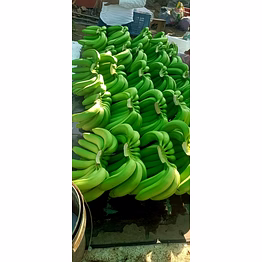 india g9 cavandish banana
