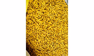 Double Polished Selam Turmeric Finger