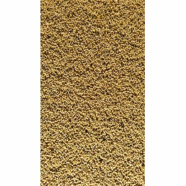 soyabean