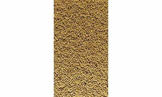 Soyabean