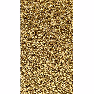 soyabean