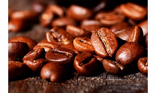 Arabic coffee beans