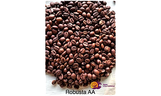Robusta AA Coffee Beans