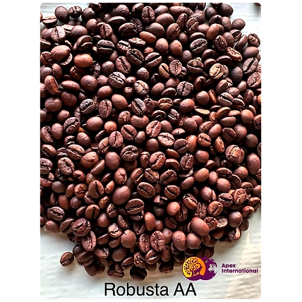 Robusta AA Coffee Beans-12701683