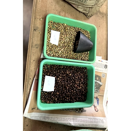 Robusta AA Coffee Beans-2