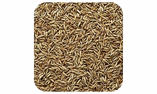 Cumin Seed