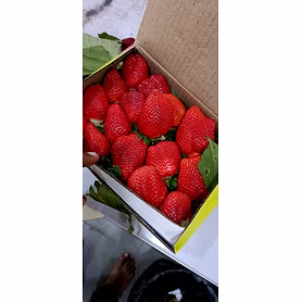 Strawberry