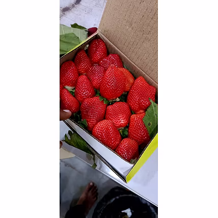 Strawberry-12702095