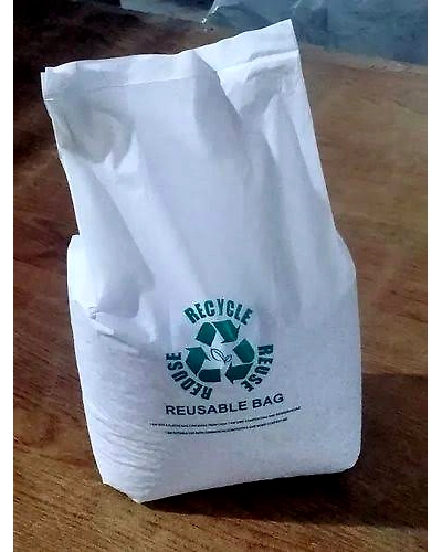 Compostable grocery bag-2