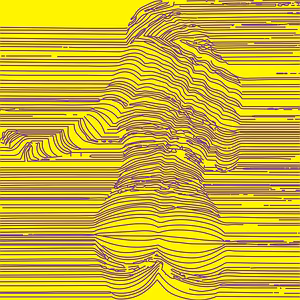 Focus & Relief Illusion Artwork – Great for Therapy Spaces
