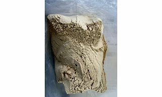 Dehydrated Garlic Powder