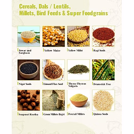 cereals & dals / lentils