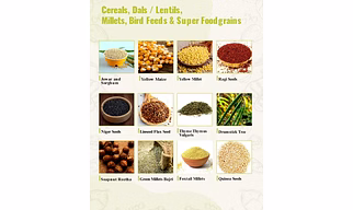 Cereals & Dals / Lentils