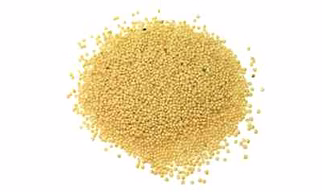 Amaranth Seeds