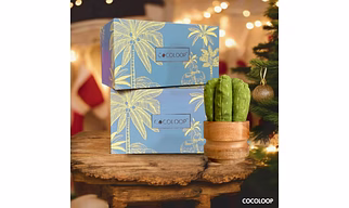 COCOLOOP Green Tall Succulent Activated Charcoal Air Purifier Bags - Natural Odor Eliminator, Reusable for 2 Years, Eco Friendly Deodorizer for Bedroom/Living/Yoga/Gym/Toilet area |325 gms