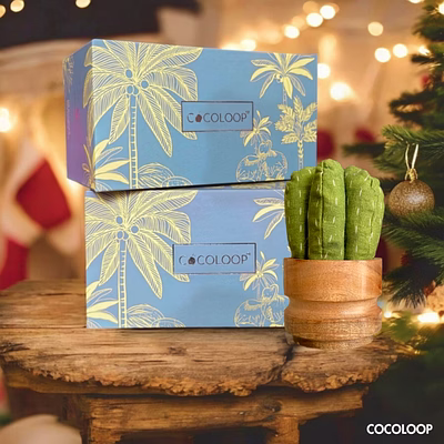 cocoloop green tall succulent activated charcoal air purifier bags - natural odor eliminator, reusable for 2 years, eco friendly deodorizer for bedroom/living/yoga/gym/toilet area |325 gms