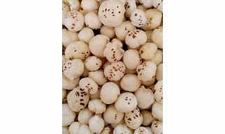 Foxnuts