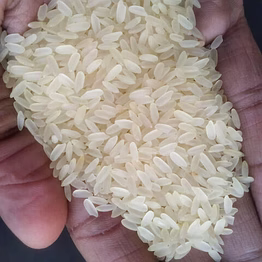 ir -64 raw rice