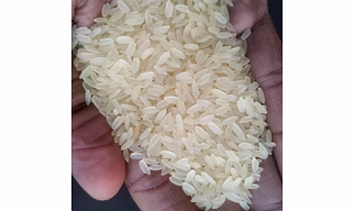 IR -64 Raw Rice